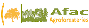 You are currently viewing Afac – Agroforesteries